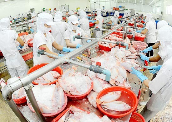 A seafood processing company (Photo: SGGP) A seafood processing company (Photo: SGGP)